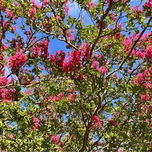 Meet your Posher, Fi